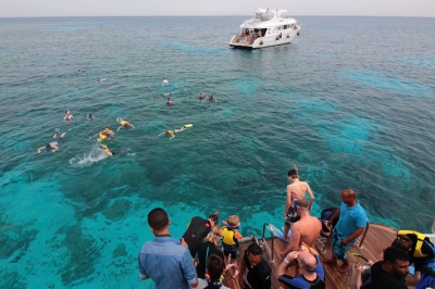 Schnorcheltour vor El Gounas Küste (Alexander Mirschel)  Copyright 
Informazioni sulla licenza disponibili sotto 'Prova delle fonti di immagine'